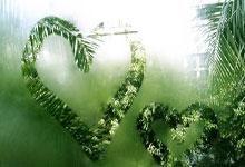 2021欧洲杯全部赛程比分是怎样的？